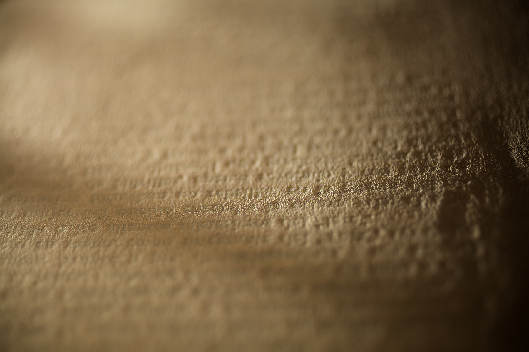 Matías Salgado | Bibliografía Consultada