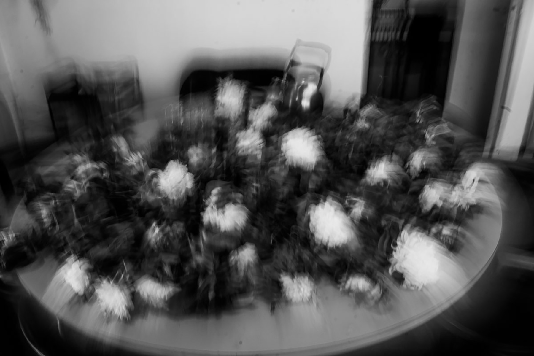 Alejandra Silva | Cuarenta y un días