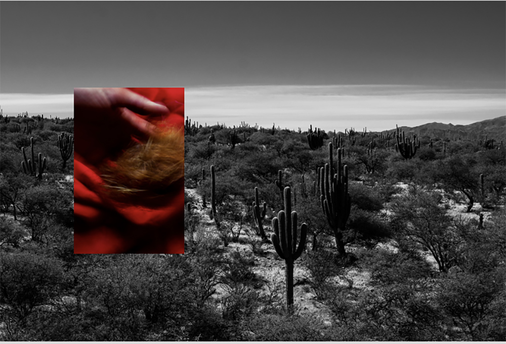 Soledad Leiton  |  Sanación