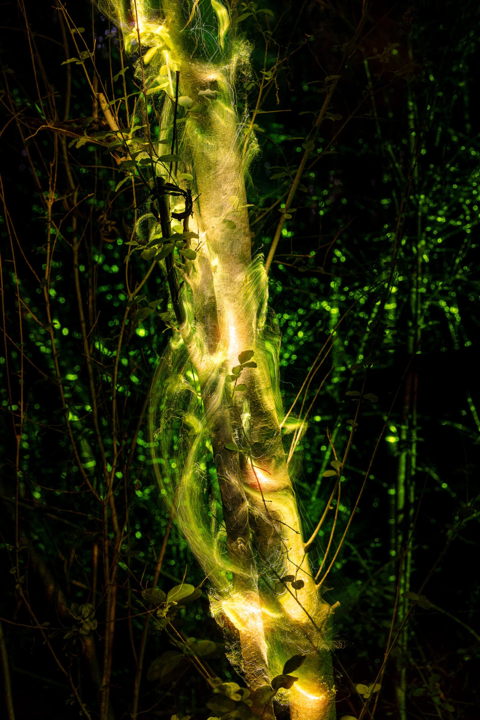 _DSC8923-editada